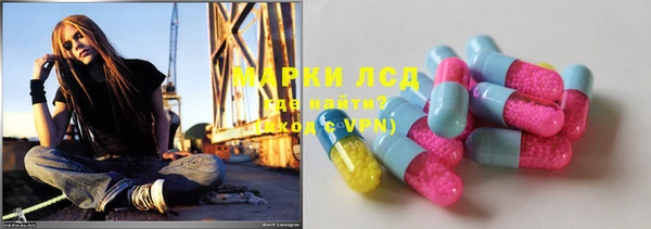 PSILOCYBIN Вяземский