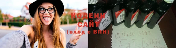 PSILOCYBIN Вяземский