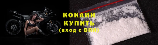 PSILOCYBIN Вяземский