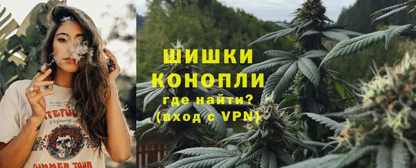 PSILOCYBIN Вяземский