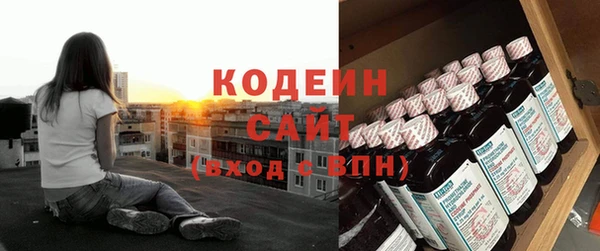 PSILOCYBIN Вяземский