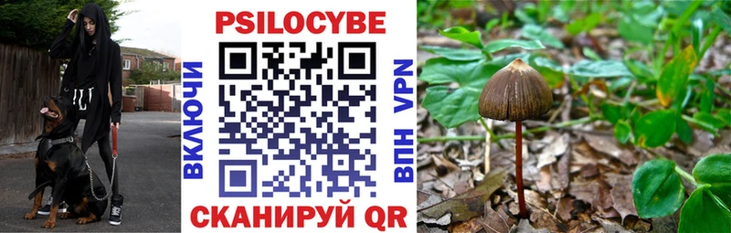 Галлюциногенные грибы Cubensis Дмитровск